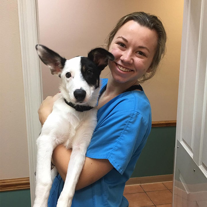 Vet tech smiling while holding dog