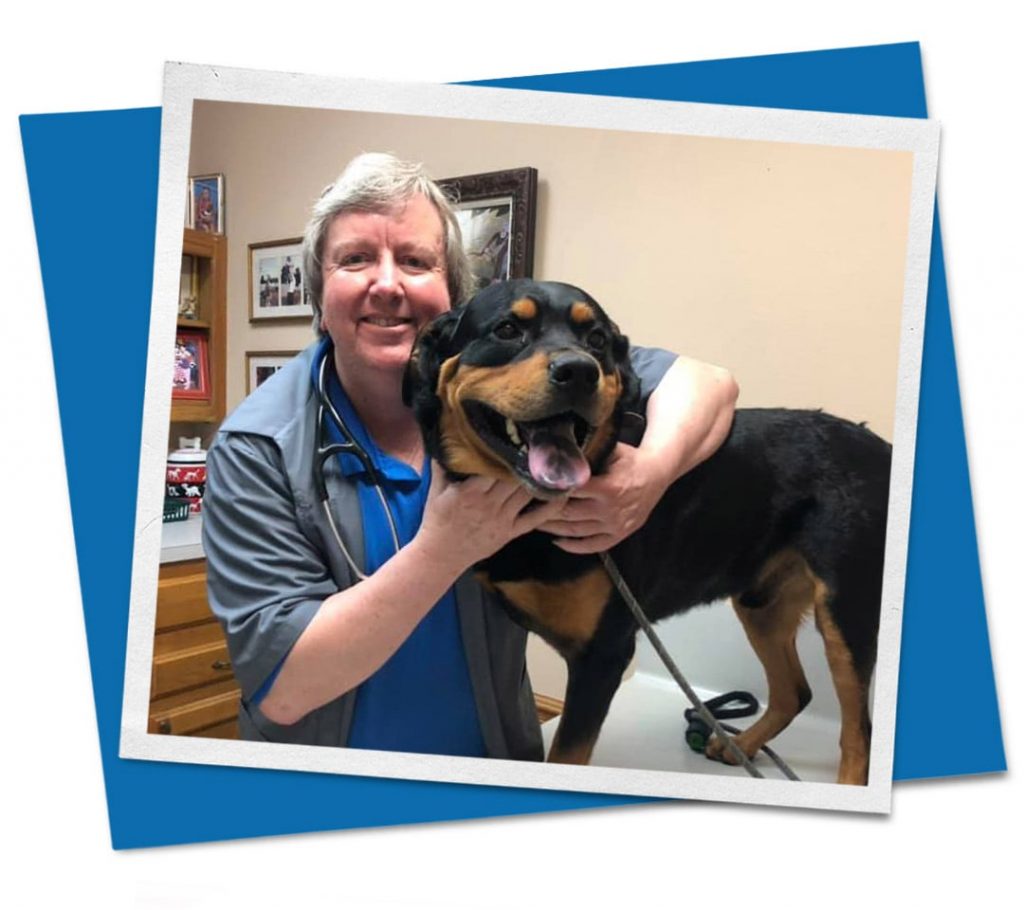 veterinarian holding black and brown dog